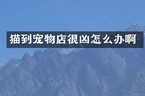 猫到宠物店很凶怎么办啊