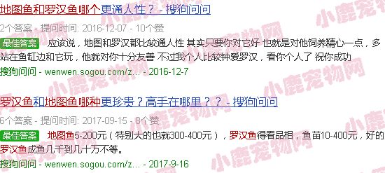 地图鱼和罗汉鱼哪个凶