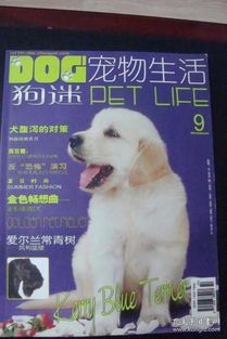 宠物生活指南，小红书式宠物知识库
