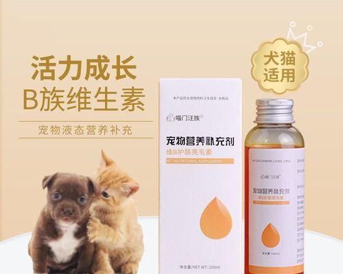宠物狗维生素B的补充（如何让你的狗获得足够的维生素B）