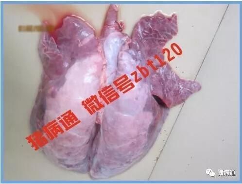 http://filesouthcdn.nxin.com/cms_image_aa230b3d-e038-4b98-a3ae-974aa05fdd9b.jpg