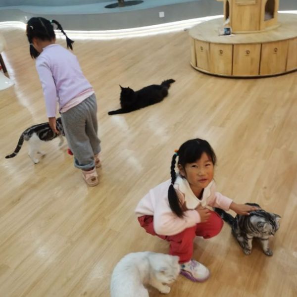 萌宠乐园宠物日常清洁，让爱宠的家更温馨