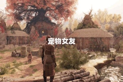 宠物女友