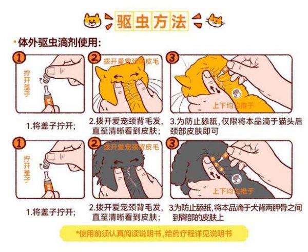 宠物常见体外寄生虫应对方法（宠物常见体外寄生虫应对方法有）