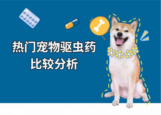热门宠物驱虫药比较分析