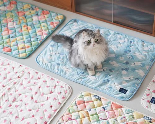 小猫冷到会得什么病（宠物猫的保暖方法与常见疾病预防）