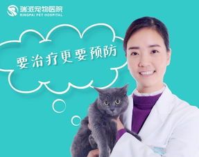 掌握宠物常见病预防知识,守护爱宠健康