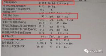 宠物肺炎治疗时长因病情而异,请遵医嘱。