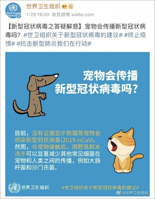 宠物肺炎治疗时长因病情而异,请遵医嘱。