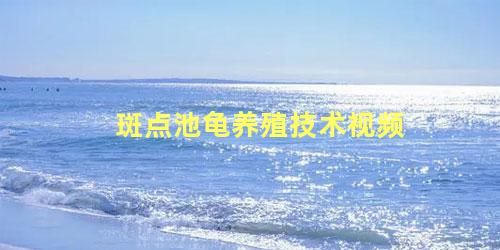 斑点池龟养殖技术视频