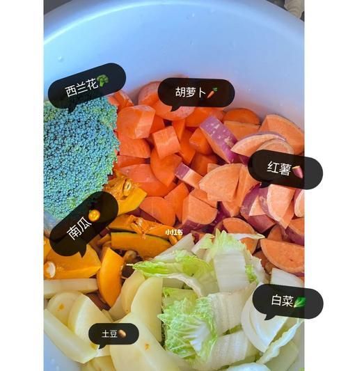 自制萨摩耶狗粮的方法与技巧（用天然健康食材为爱犬提供最优质的营养）