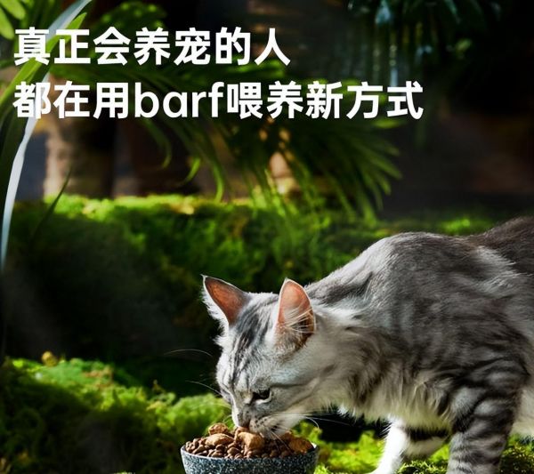 猫可以吃生花生吗有营养吗（了解宠物对坚果类食品的耐受性）