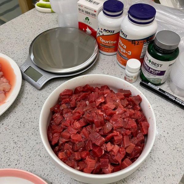 猫可以吃生花生吗有营养吗（了解宠物对坚果类食品的耐受性）