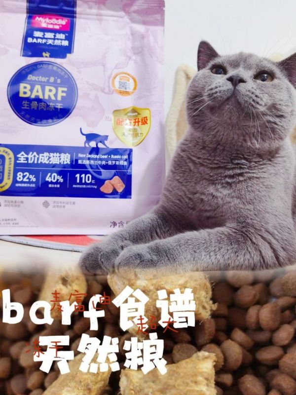 猫可以吃生花生吗有营养吗（了解宠物对坚果类食品的耐受性）
