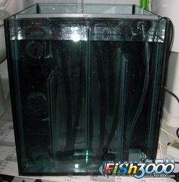 “1米2鱼缸滤槽消毒，宠物鱼儿更健康！”