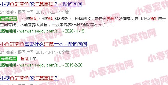 小鱼缸养鱼技巧注意事项