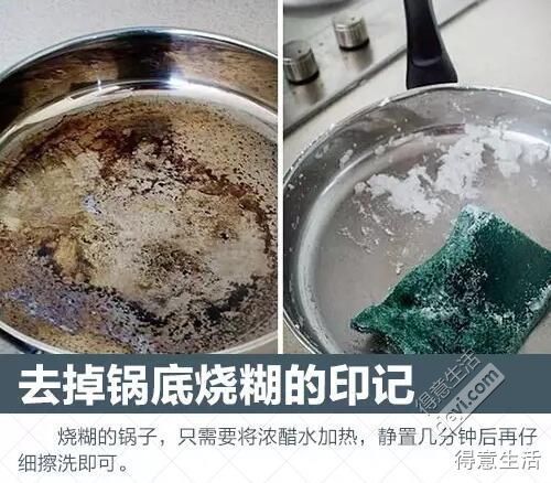 金鱼粪便处理指南：宠物清洁小技巧，轻松解决！