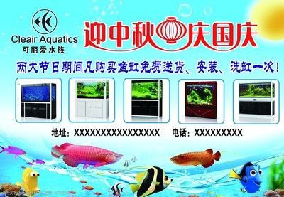 可丽爱鱼缸安装全过程教程（鱼缸过滤系统维护技巧） 龙鱼百科 第2张
