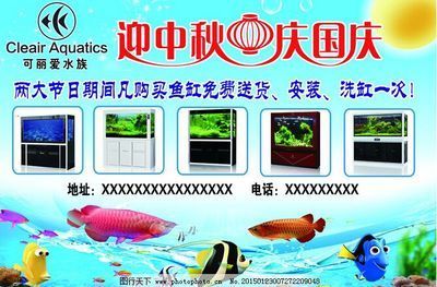 可丽爱鱼缸安装全过程教程（鱼缸过滤系统维护技巧） 龙鱼百科 第4张