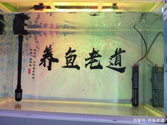 鱼缸怎么护理比较好呢（鱼缸的日常维护,超级实用） 观赏鱼批发