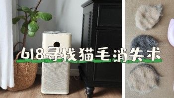 618购物狂欢节，与钱包君寻找猫毛消失术