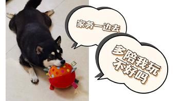 养宠更轻松！毛孩家长一定得试试这些智能设备～
