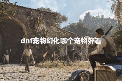 dnf宠物幻化哪个宠物好看
