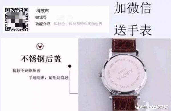 揭秘丨黑色暴利项目，赠送宠物日入1000+