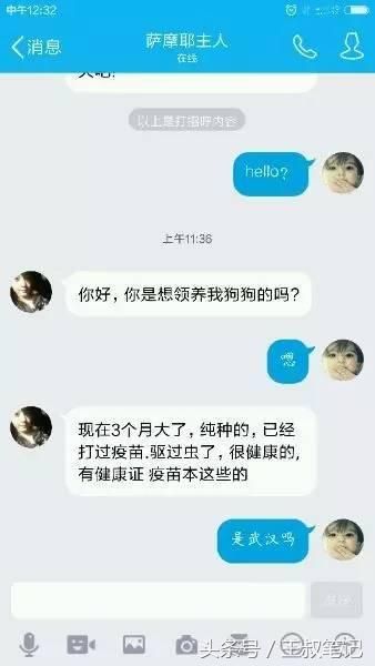 揭秘丨黑色暴利项目，赠送宠物日入1000+