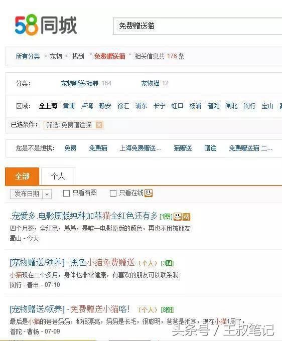 揭秘丨黑色暴利项目，赠送宠物日入1000+