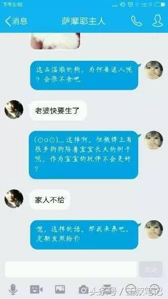 揭秘丨黑色暴利项目，赠送宠物日入1000+