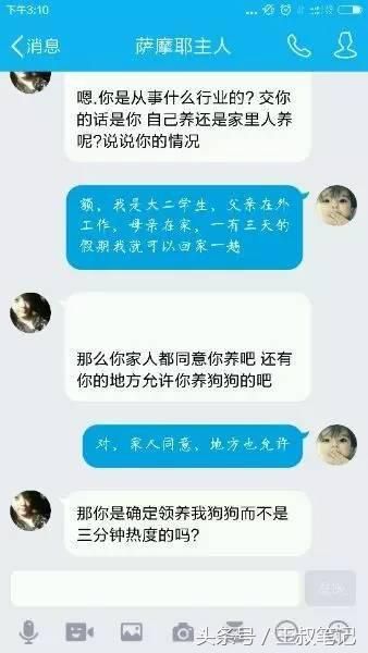 揭秘丨黑色暴利项目，赠送宠物日入1000+