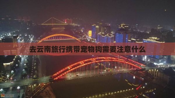 去云南旅行携带宠物狗需要注意什么