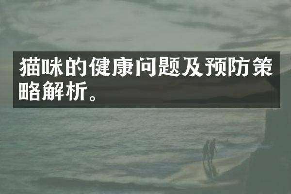 猫咪的健康问题及预防策略解析。