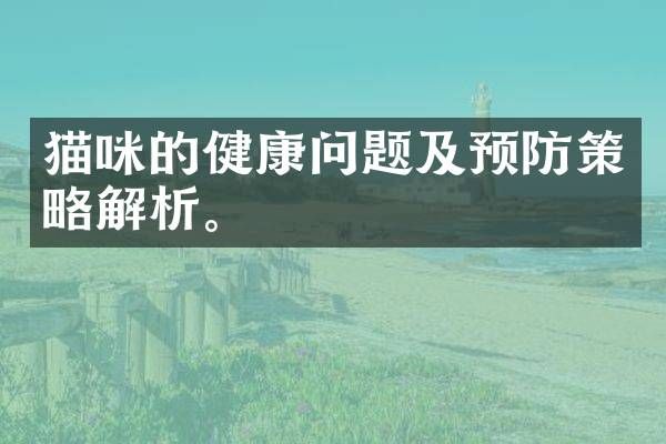 猫咪的健康问题及预防策略解析。
