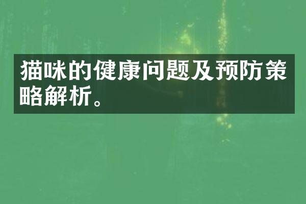 猫咪的健康问题及预防策略解析。