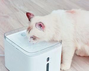 猫咪自动饮水机使用方法及常见问题解答？
