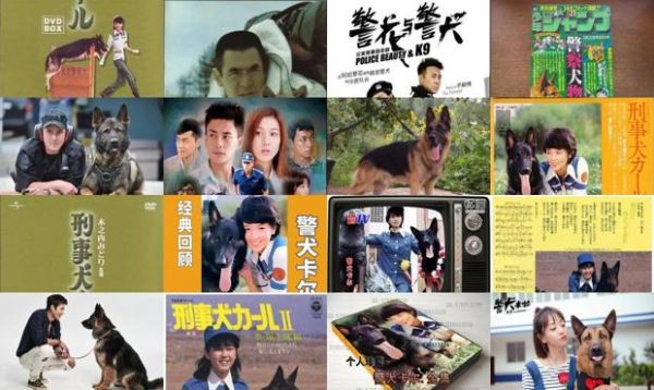 警犬卡尔国语电视剧