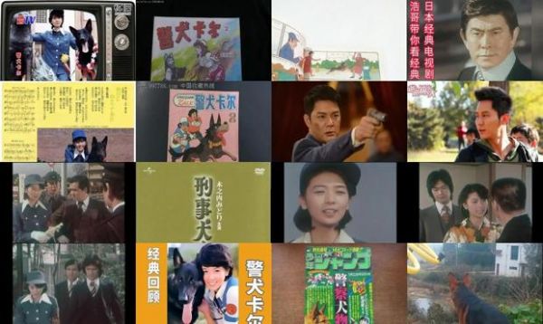 警犬卡尔电视剧1至39集在线