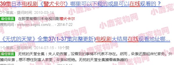 警犬卡尔电视剧1至39集在线