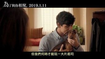关于狗的电视剧