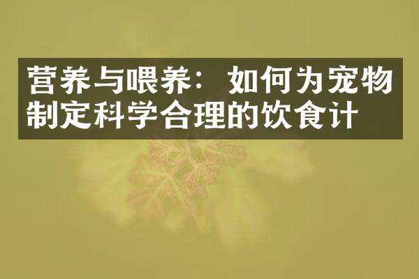 营养与喂养：如何为宠物制定科学合理的饮食计划