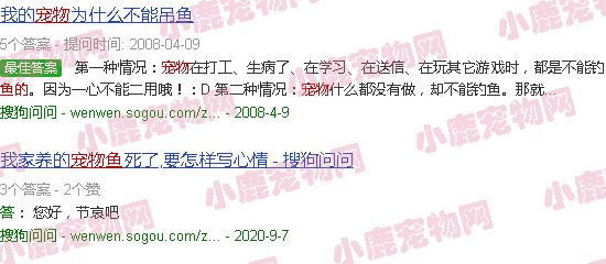 播放宠物鱼的图片