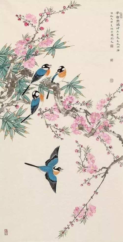 各种花鸟图片大全