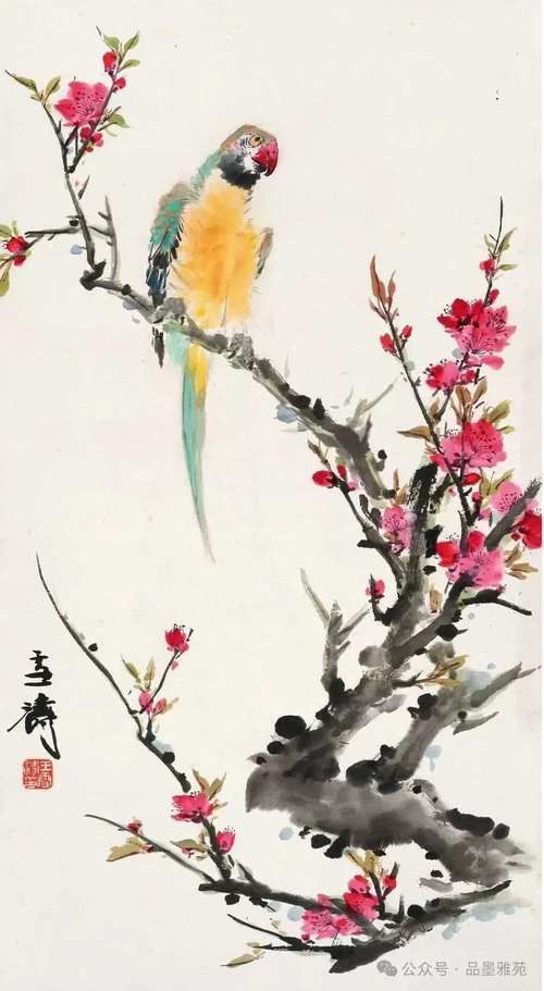 各种花鸟图片大全