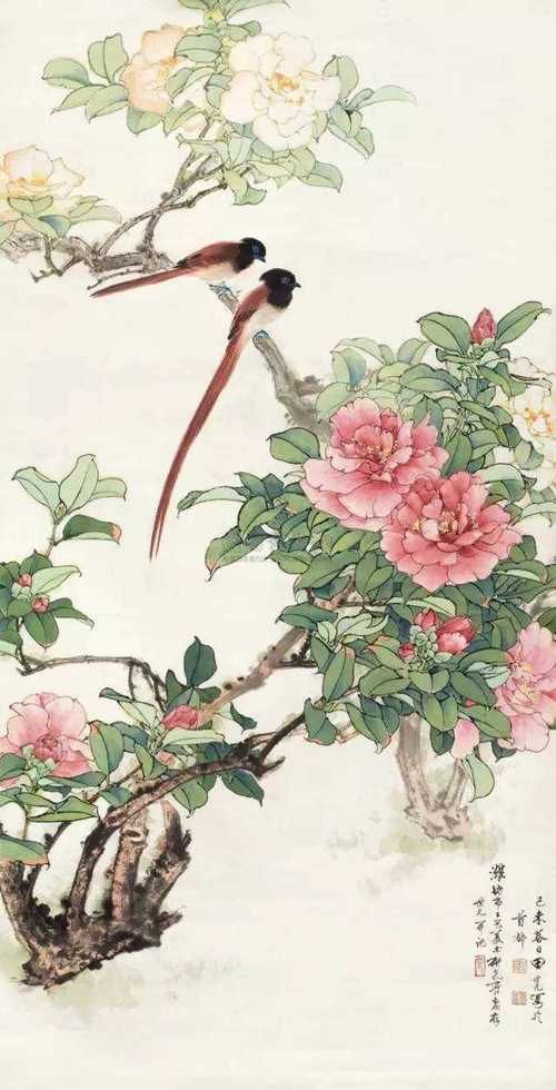 各种花鸟图片大全