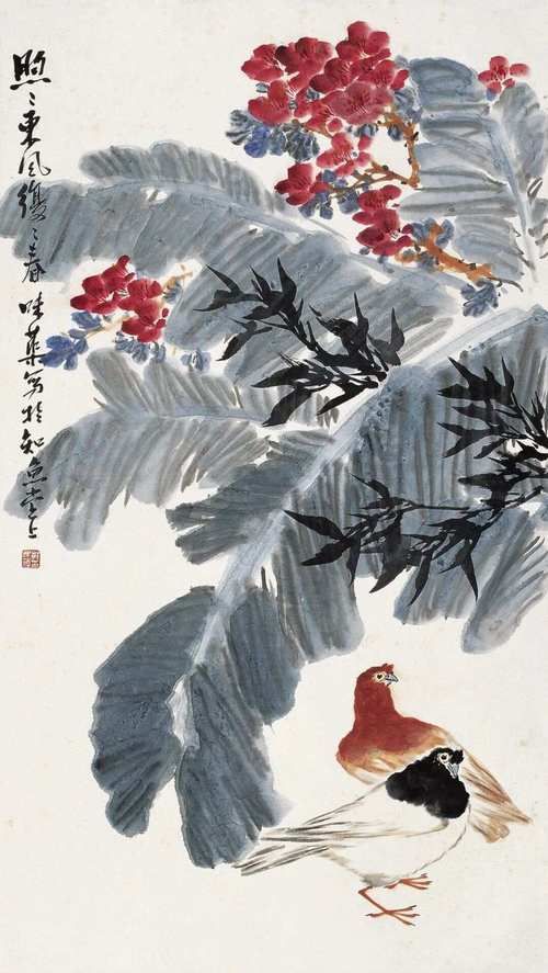 各种花鸟图片大全