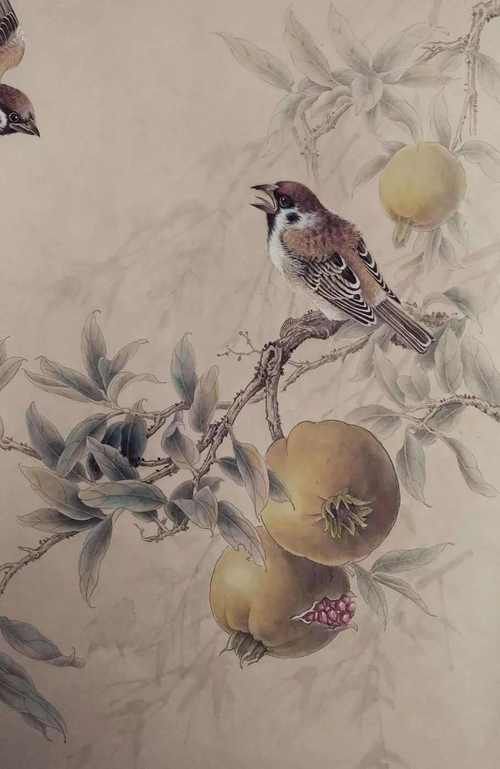 各种花鸟图片大全