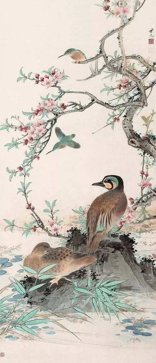 各种花鸟图片大全