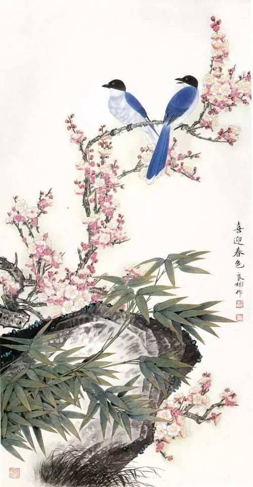 各种花鸟图片大全